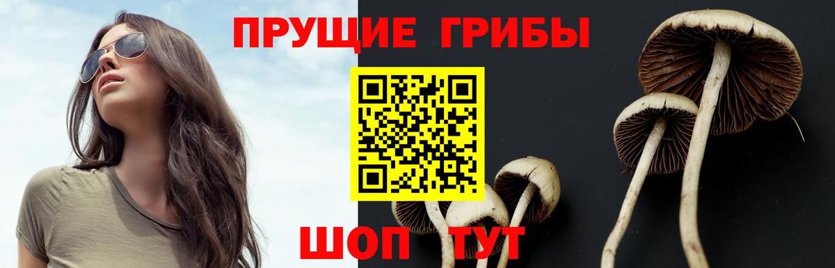 Псилоцибиновые грибы Psilocybine cubensis  Вход с VPN  Керчь  Псилоцибиновые грибы MAGIC MUSHROOMS 